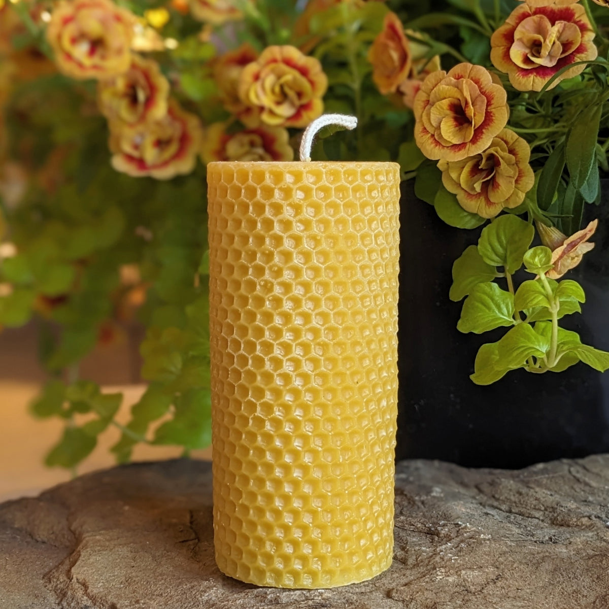 Honeycomb Cylinder Beeswax Candle in natural color.