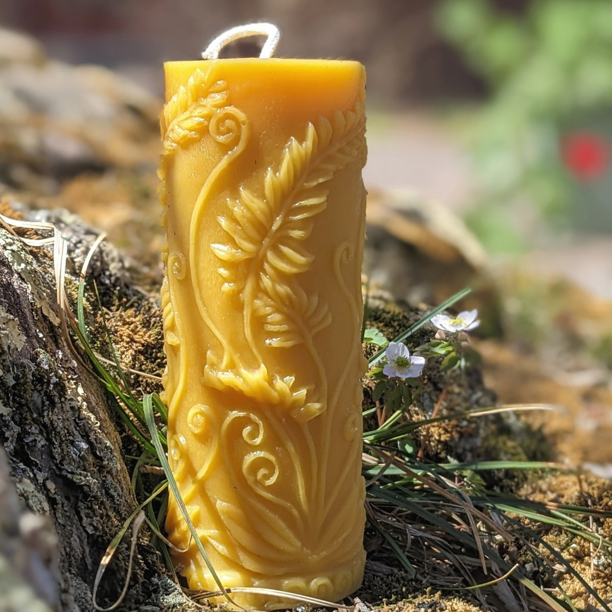 Our Rustic Fern Beeswax Candle.