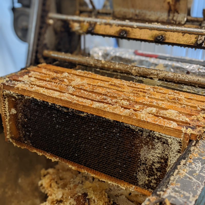 Picture of a comb of honey going through an extractor.