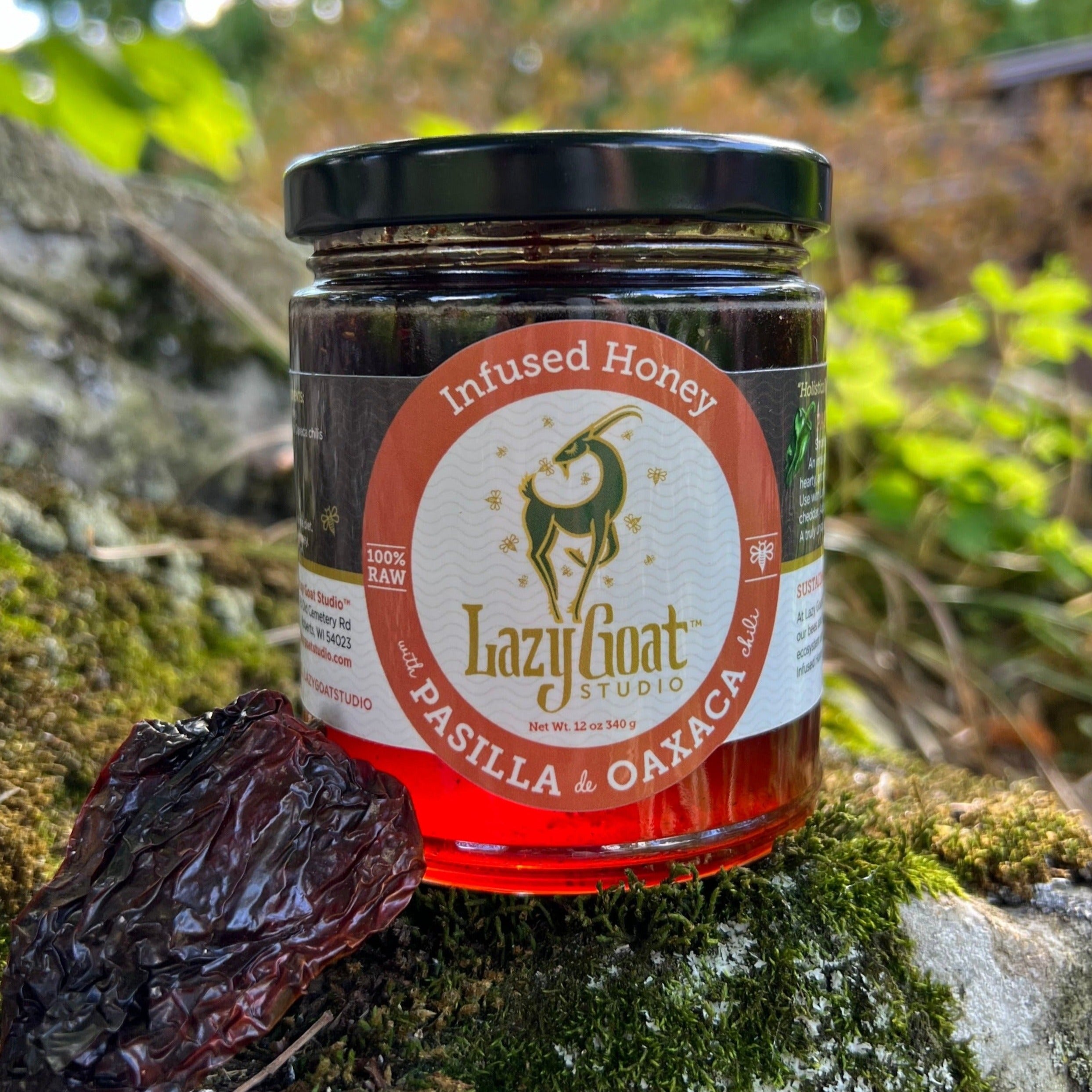 Pasilla de Oaxaca Infused Honey by Lazy Goat Studio, 12oz – Lazy