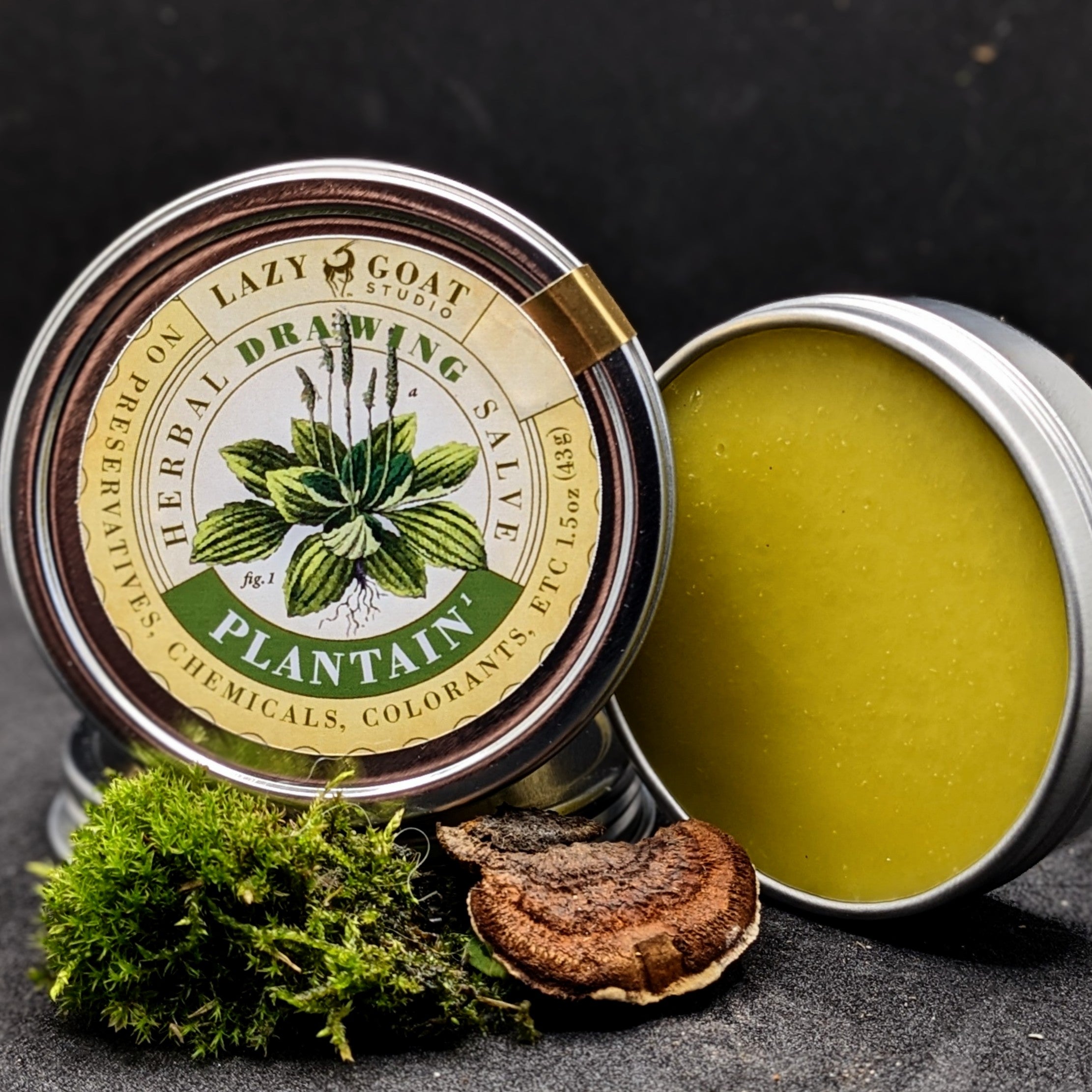 Plantain Herbal Drawing Salve in a 1.5oz tin. from Lazy Goat Studio