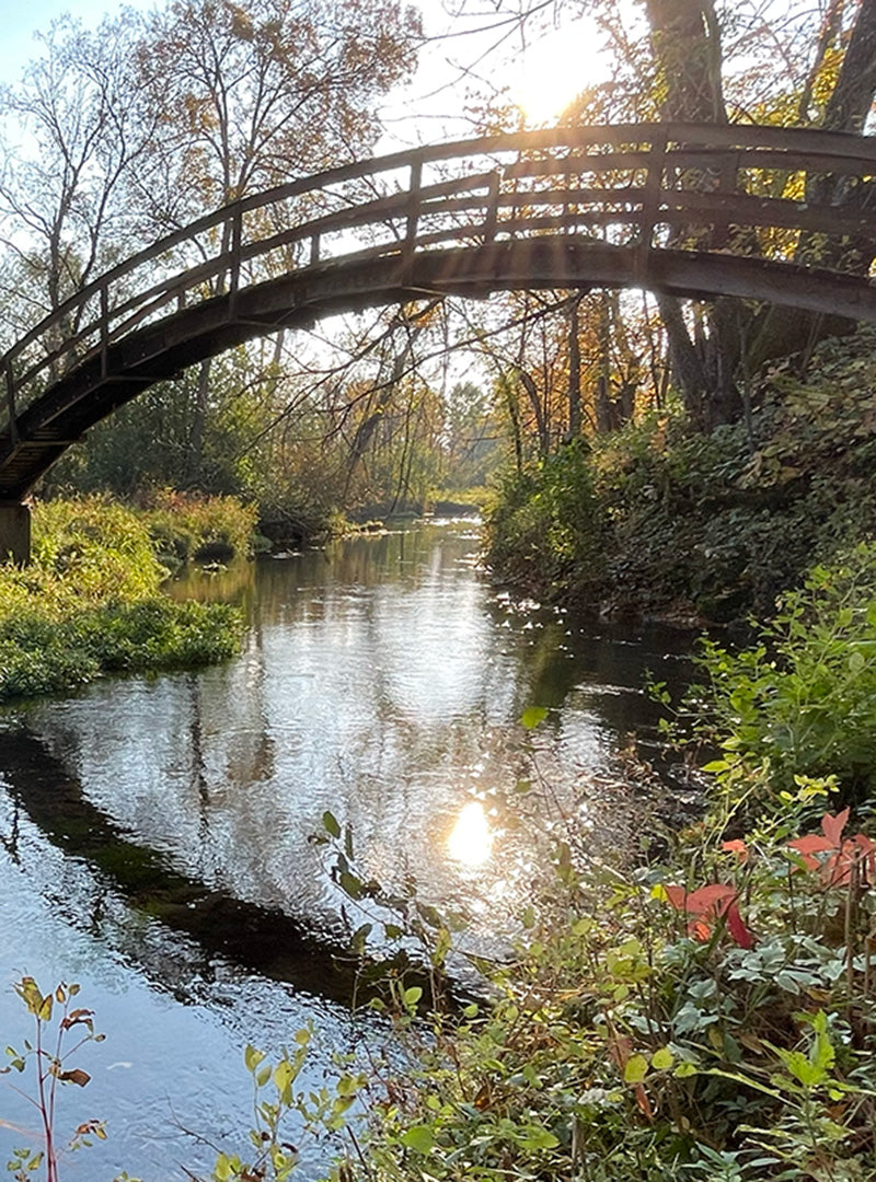 bridge over the river at lazy goat studio a sustainable apiary