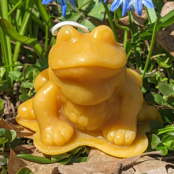 Our Cute little beeswax frog. Natural color